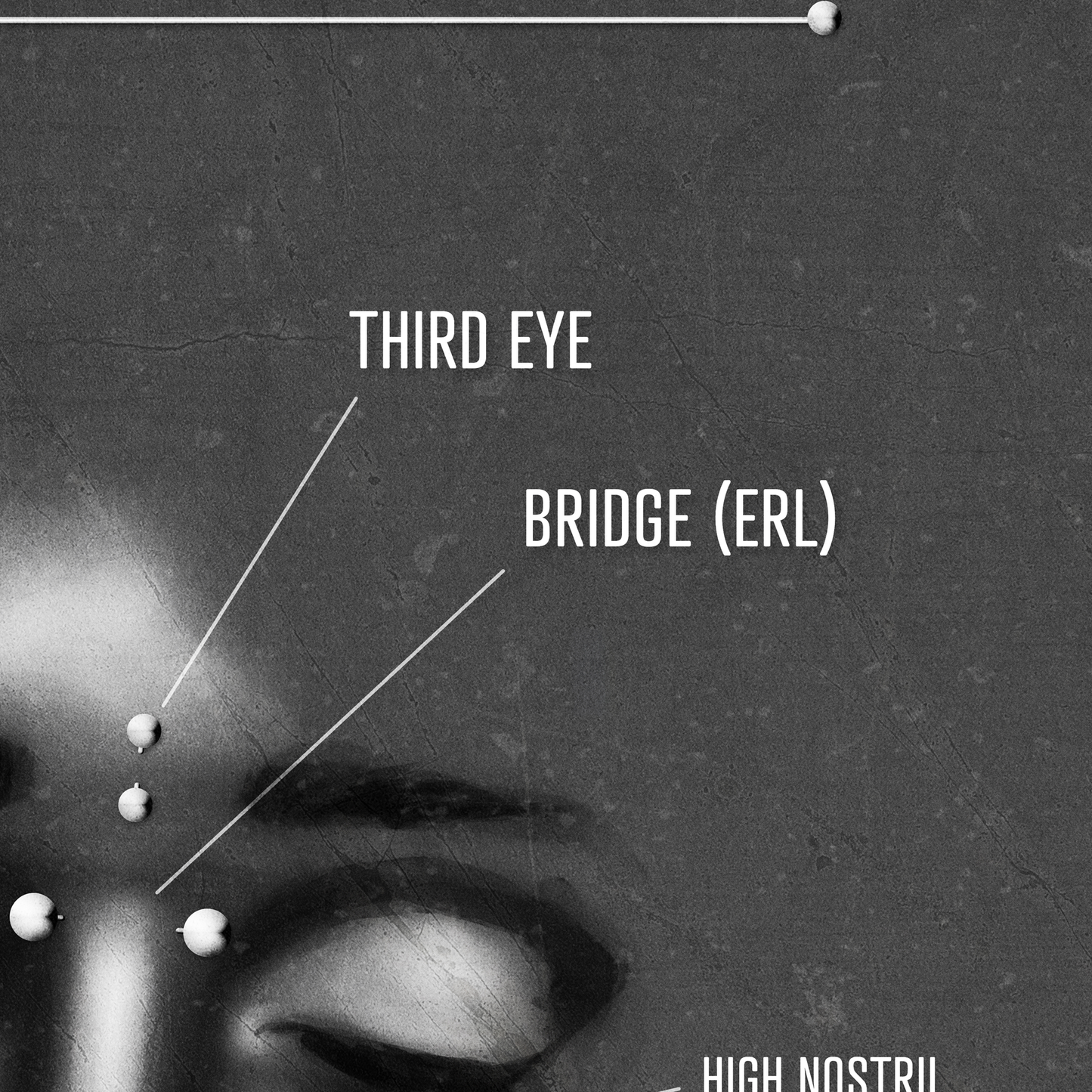 Facial Piercing Chart, Black and Gray Grunge