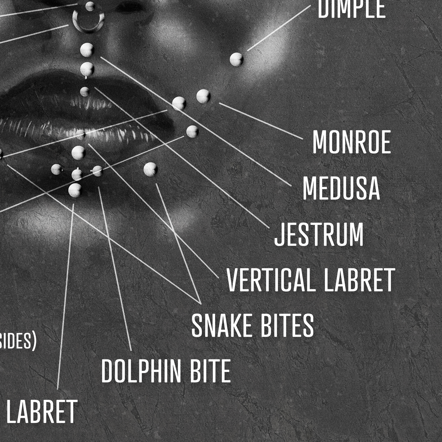 Facial Piercing Chart, Black and Gray Grunge