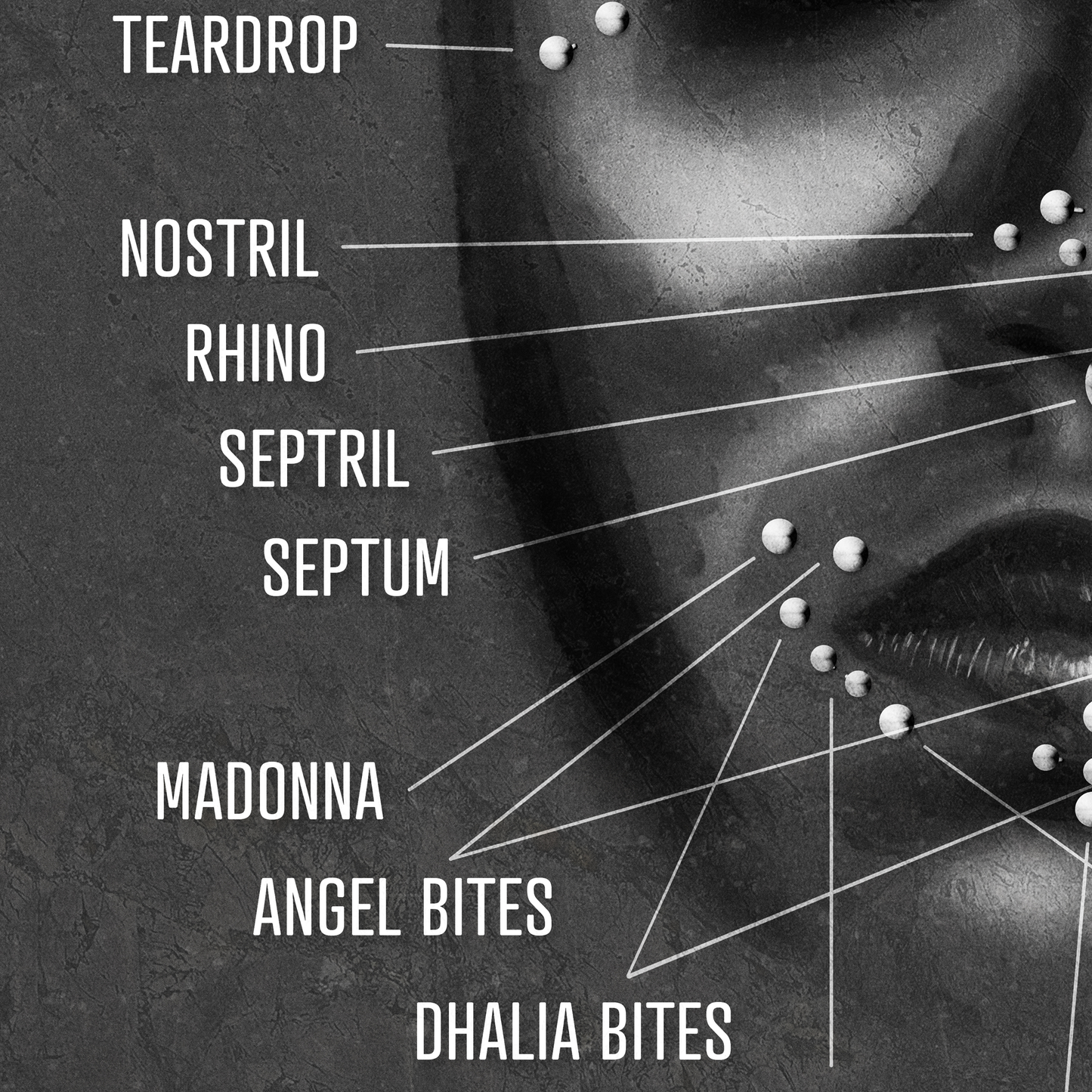 Facial Piercing Chart, Black and Gray Grunge