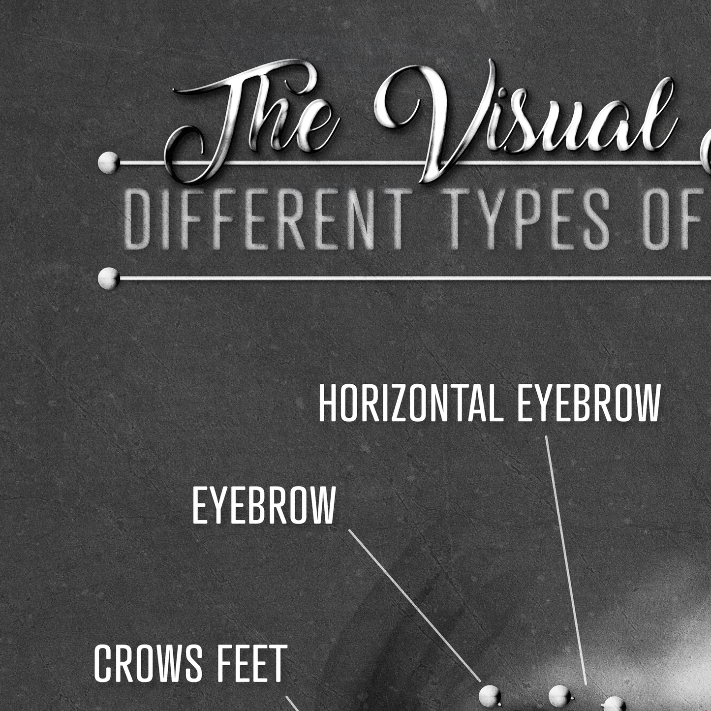 Facial Piercing Chart, Black and Gray Grunge