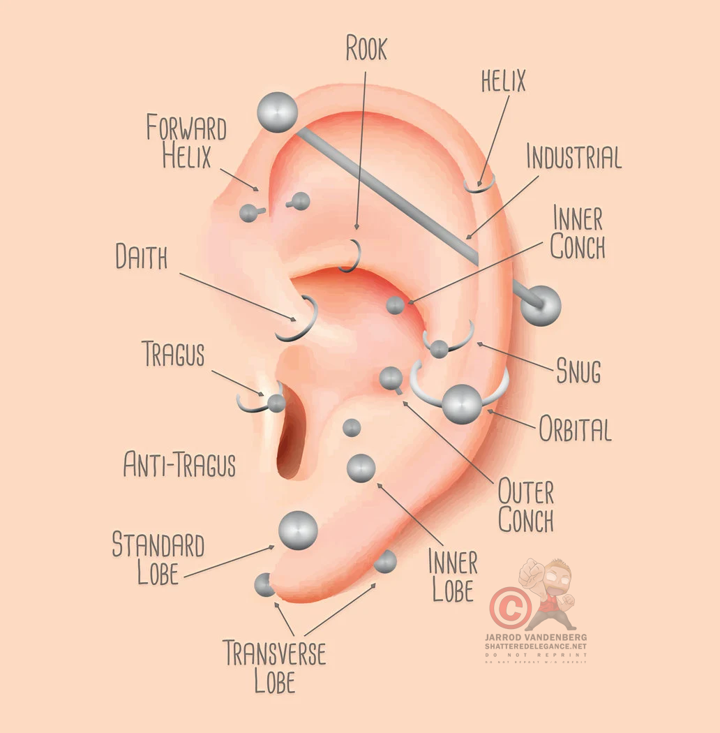 Ear Piercing Chart