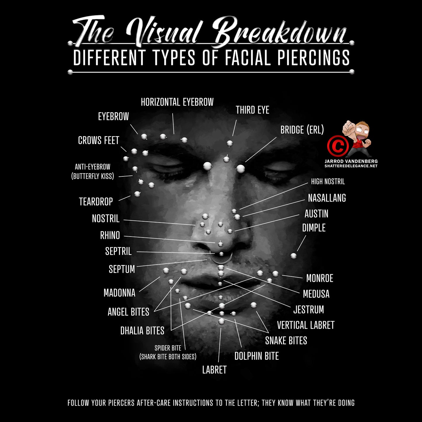 Face Piercing Chart Infographic Poster Wall Art Print, Various Piercings Map