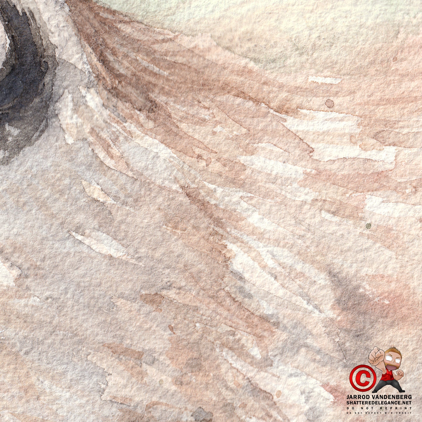 Mountain Lion Watercolor