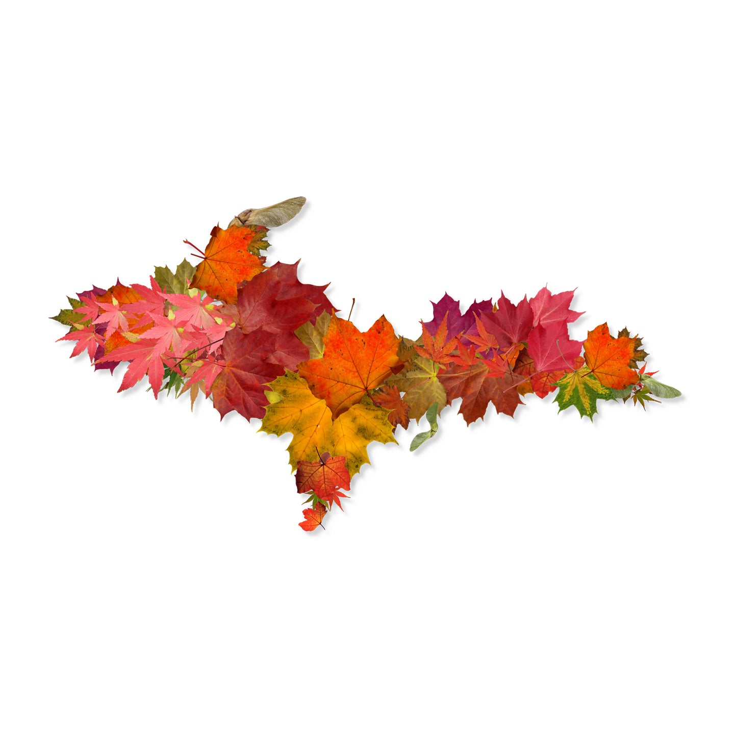 Upper Peninsula of Michigan Silhouette, Fall Maple Leaves, Holographic stickers