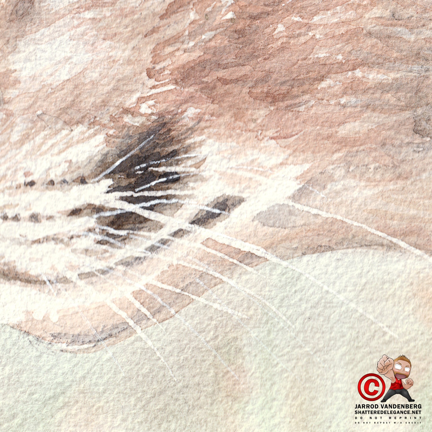 Mountain Lion Watercolor