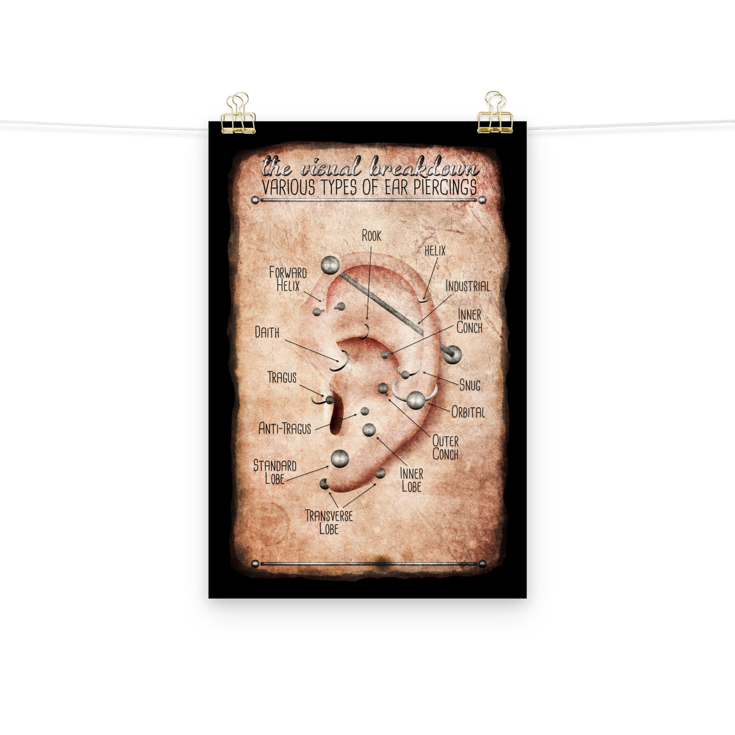 Vintage Style Ear Piercing Chart