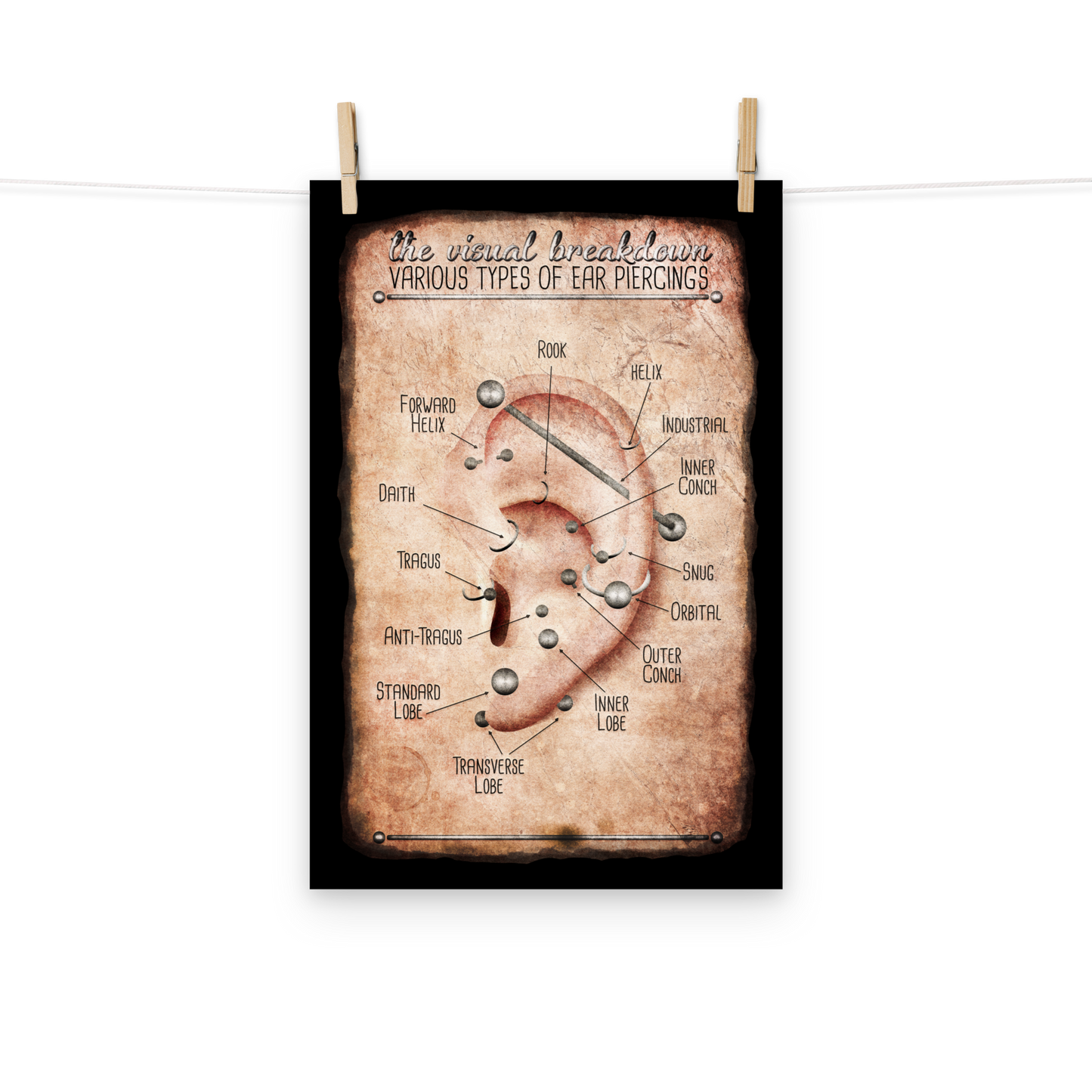 Vintage Style Ear Piercing Chart