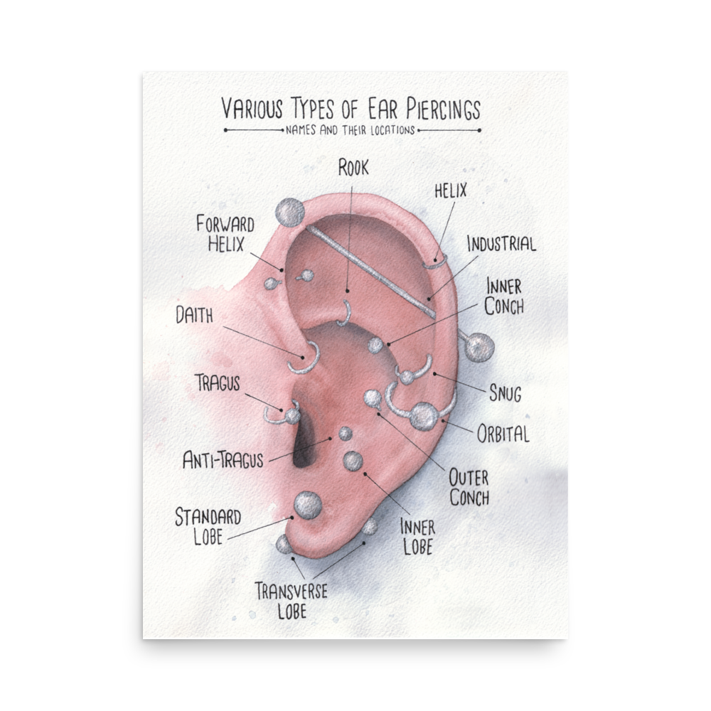Ear Piercing Chart, Watercolor