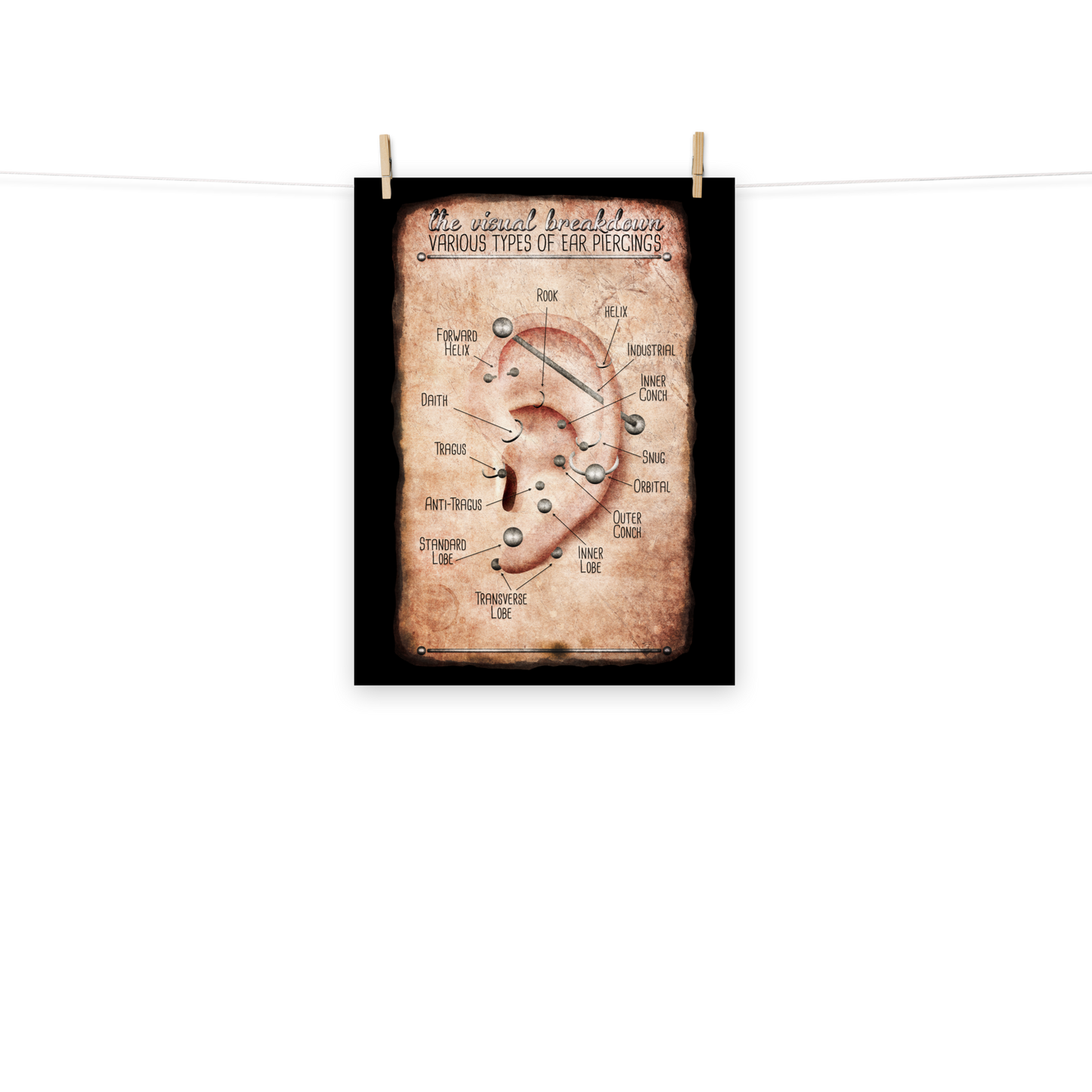 Vintage Style Ear Piercing Chart