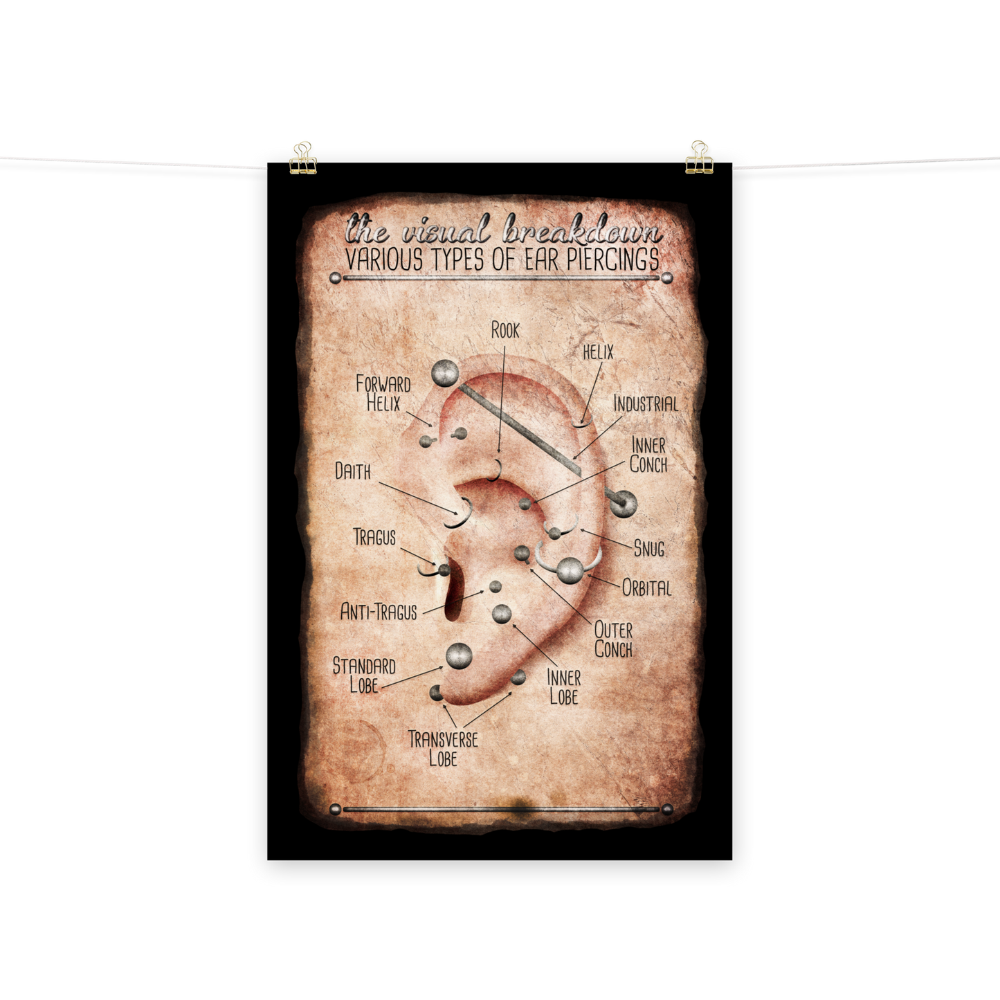 Vintage Style Ear Piercing Chart