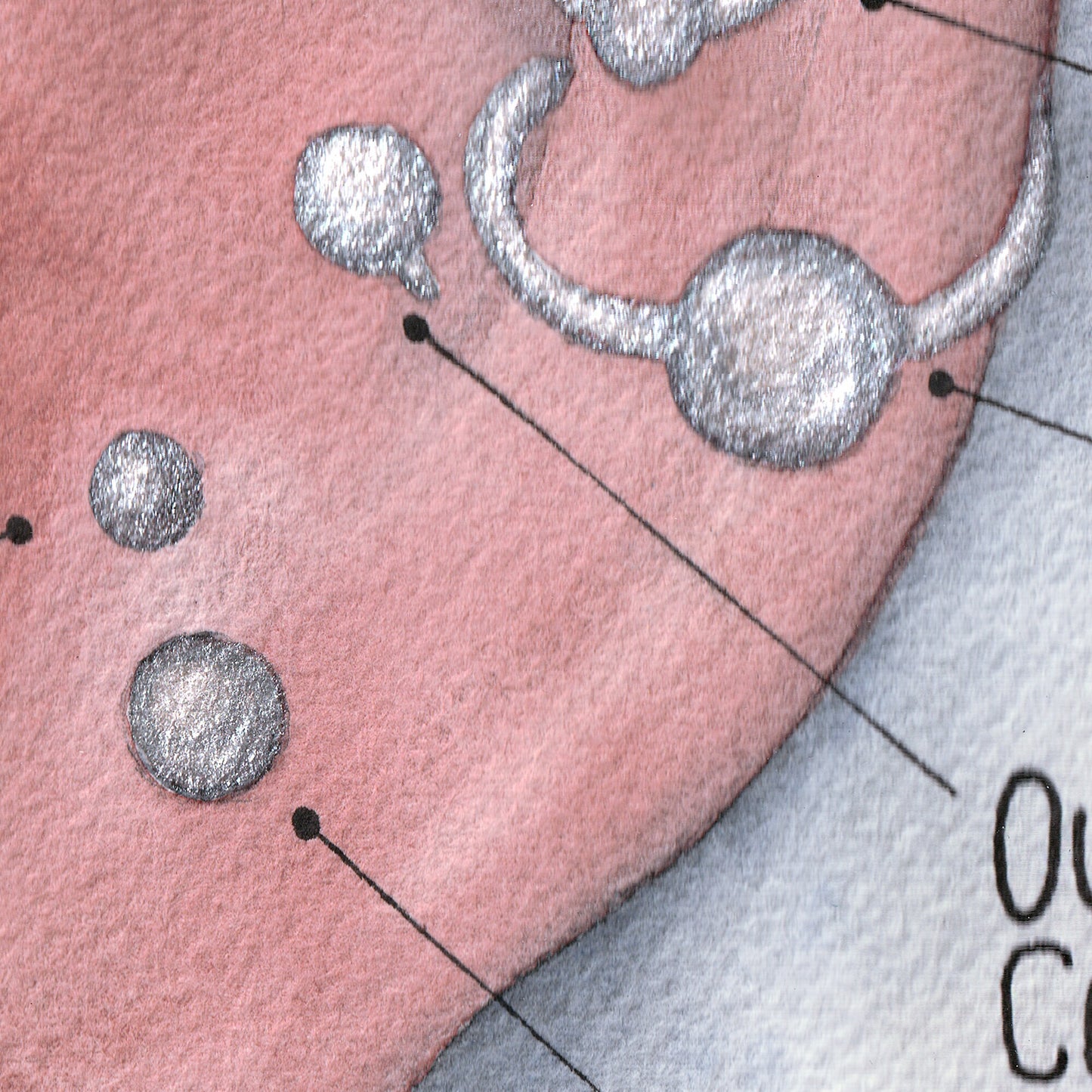 Ear Piercing Chart, Watercolor