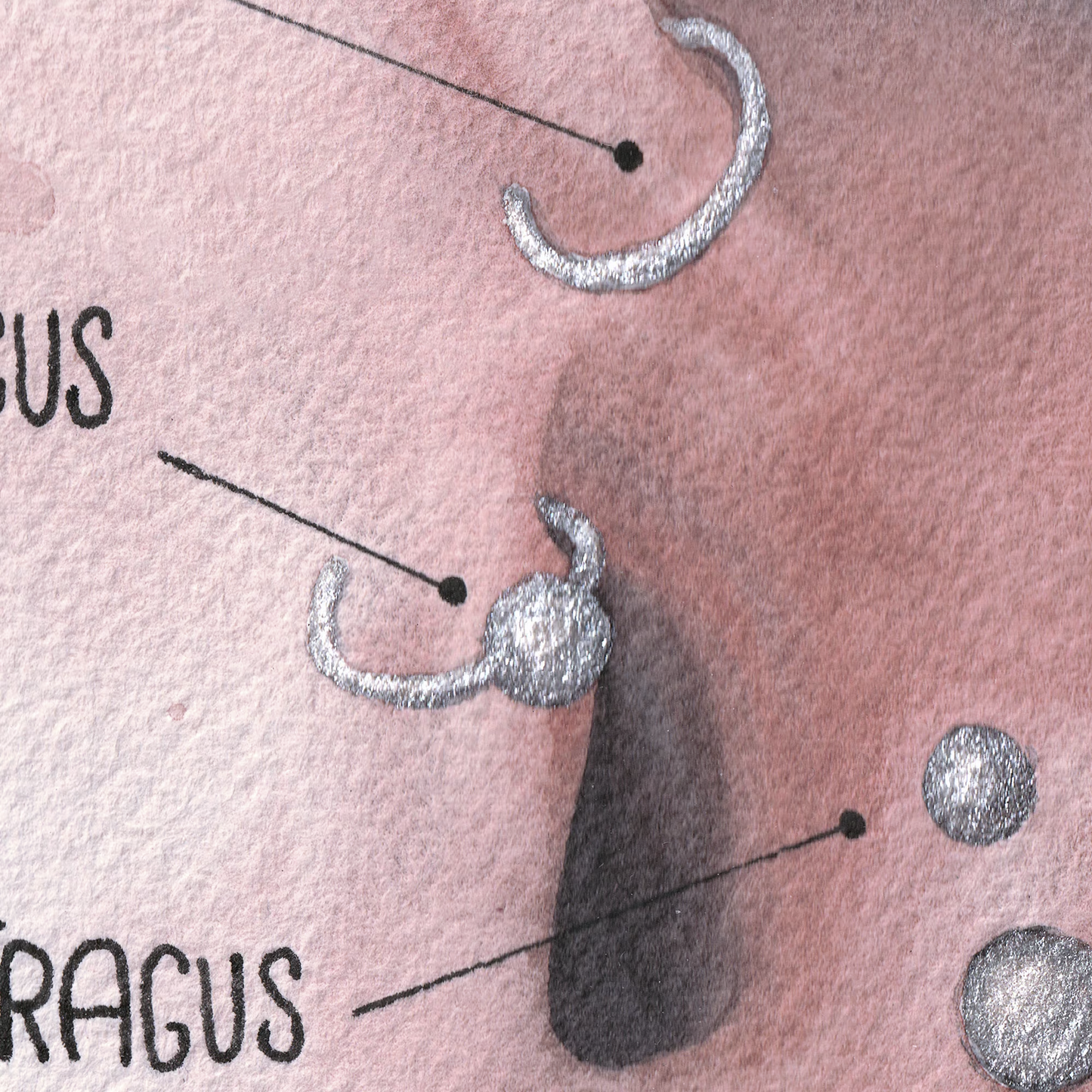 Ear Piercing Chart, Watercolor
