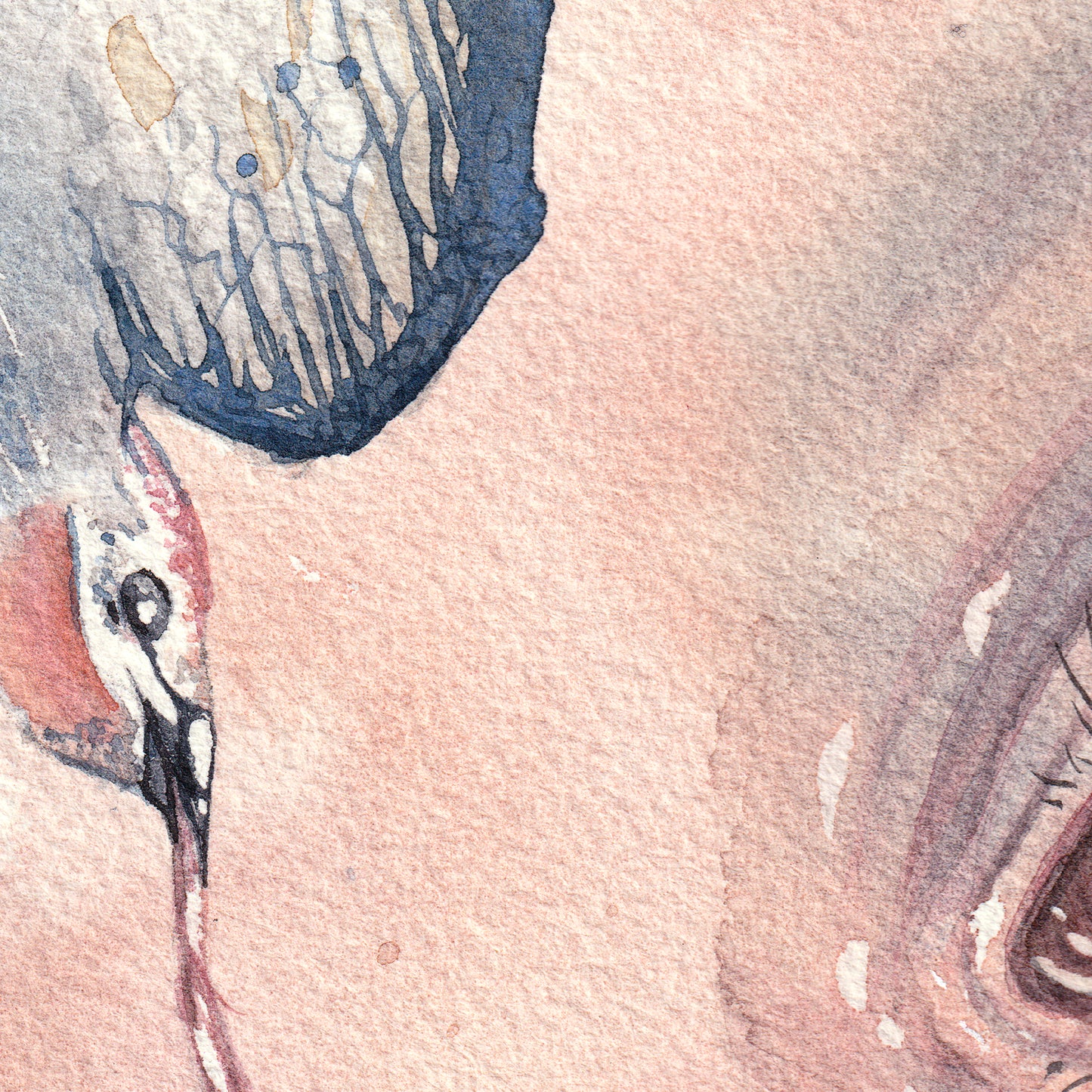 Narcoleptic Nightmare