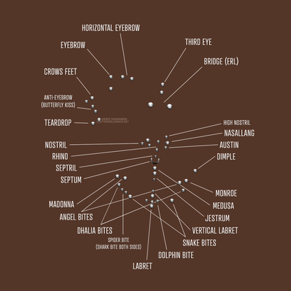 Facial Piercing Chart