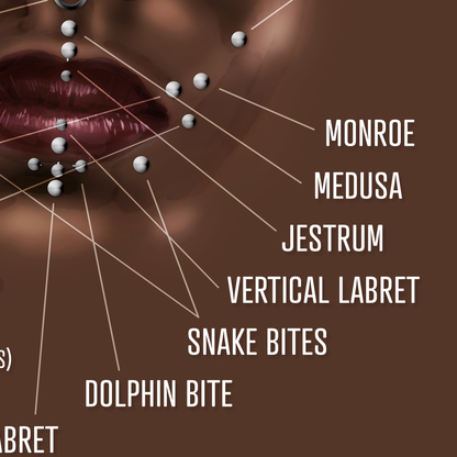 Facial Piercing Chart