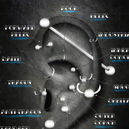 Ear Piercing Chart, Blue Grunge