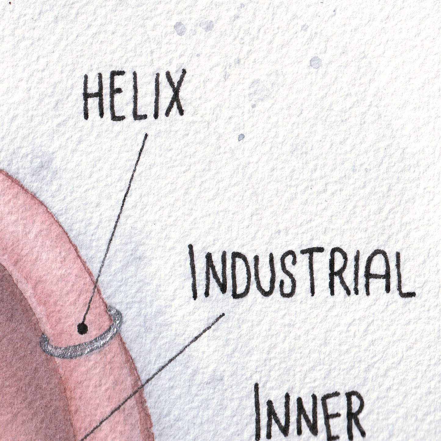 Ear Piercing Chart, Watercolor